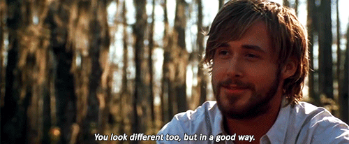 25-the-notebook-quotes